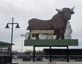 The Bull at the Durham Bulls Athletic Park