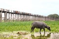 U Bein Bridge, Mandalay, Myanmar Royalty Free Stock Photo