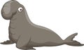 Bull Elephant Seal Royalty Free Stock Photo