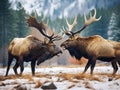 Ai Generated illustration Wildlife Concept of Bull Elk Battle