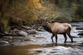 A Bull Elk Bugling Near A Mountain Stream. Generative AI
