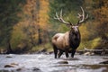 Bull elk wapiti, Jasper National Park, Alberta, Canada, Bull Elk in stream, AI Generated