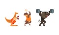 Bull Exercising with Barbell, Marmot Playing Tennis, Kangaroo Boxing, Powerful Wild Animals Characters Doing Sports