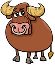 Bull farm animal comic character cartoon illustration