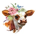 Bull. farm animal illustration. Watercolor hand drawn calf
