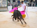 Bull fight at Capea du Forum in Arles