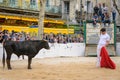 Bull fight at Capea du Forum in Arles