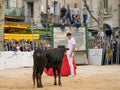 Bull fight at Capea du Forum in Arles