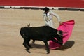 Bull Fight France Royalty Free Stock Photo