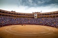 Bull fight in Madrid