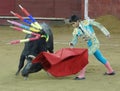 Bull Fight, Quito, Ecuador