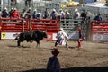 Bull going after clowns after rider got bucked