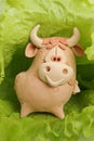 A bull is in greenery. Royalty Free Stock Photo