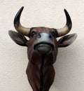 Bull head