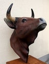 Bull head