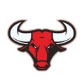 Bull head mascot