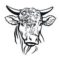Bull head. vector illustration on white Royalty Free Stock Photo