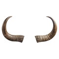 Bull horns isolated on a transparent or white background. Horn overlay for insertion. Design elements to insert into a Royalty Free Stock Photo