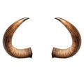 Bull horns isolated on a transparent or white background. Horn overlay for insertion. Design elements to insert into a Royalty Free Stock Photo