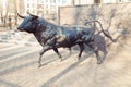 Bull with horns, metal sculpture on street on stone staircase background, sunny day. Side view. Royalty Free Stock Photo