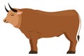 Bull icon. Farm livestock. Domestic cattle animal