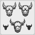 Bull illustrations and silhouettes. Vector emblems, labels and badges. Royalty Free Stock Photo