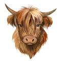 Bull on isolated white background, watercolor drawing, symbol of new year Royalty Free Stock Photo