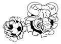 Bull Minotaur Longhorn Cow Soccer Mascot Cartoon