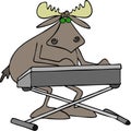 Bull moose playing keyboard