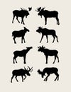 Bull Moose Silhouettes Royalty Free Stock Photo