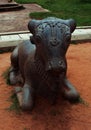 Bull-Nandhi-statue front view in the thanjavur maratha palace Royalty Free Stock Photo