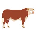 Bull, pet, animal of America, illustration,