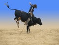 Bull Rider Royalty Free Stock Photo