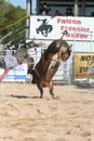 Bull rider 3 Royalty Free Stock Photo