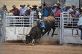 Bull Rider Gets Airborne Royalty Free Stock Photo