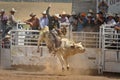 Bull Rider Gets Airborne