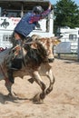 Bull rider Royalty Free Stock Photo