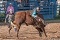 Bull rider thrown at the michigan rodeo