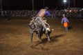 Bull riding cowboy Royalty Free Stock Photo