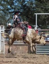 Bull Riding Royalty Free Stock Photo