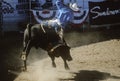 Bull Riding, Earl Warren Fairgrounds, Fiesta Rodeo, Stock Horse Show, Santa Barbara Old Spanish Days, CA Royalty Free Stock Photo