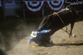 Bull Riding, Earl Warren Fairgrounds, Fiesta Rodeo, Stock Horse Show, Santa Barbara Old Spanish Days, CA Royalty Free Stock Photo