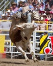 Bull Riding - Sisters, Oregon PRCA Pro Rodeo 2011 Royalty Free Stock Photo