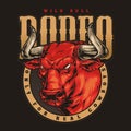 Bull rodeo colorful vintage sticker