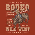 Bull rodeo show flyer colorful