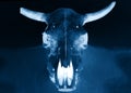 Bull scull