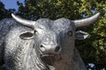 Bull sculpture. Can represent Wall Street Bull stock market or Bull riding in a rodeo