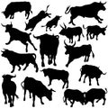 Bull Set Silhouettes Royalty Free Stock Photo