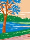 Bull Shoals-White River State Park with the Best Trout Fishing Stream in Baxter and Marion Counties in Arkansas WPA Poster Art