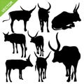 Bull silhouettes vector Royalty Free Stock Photo